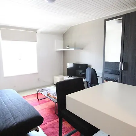 Apartman City Center - Kleber - Bookingalsace *