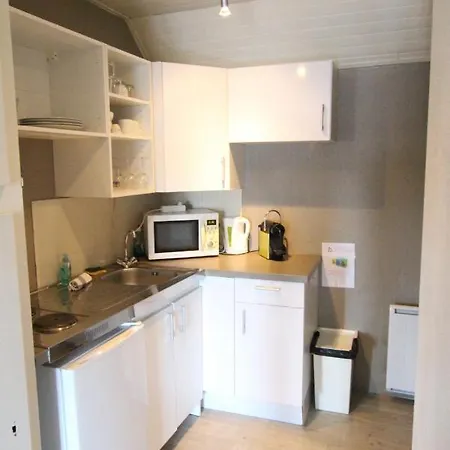 Apartament City Center - Kleber - Bookingalsace
